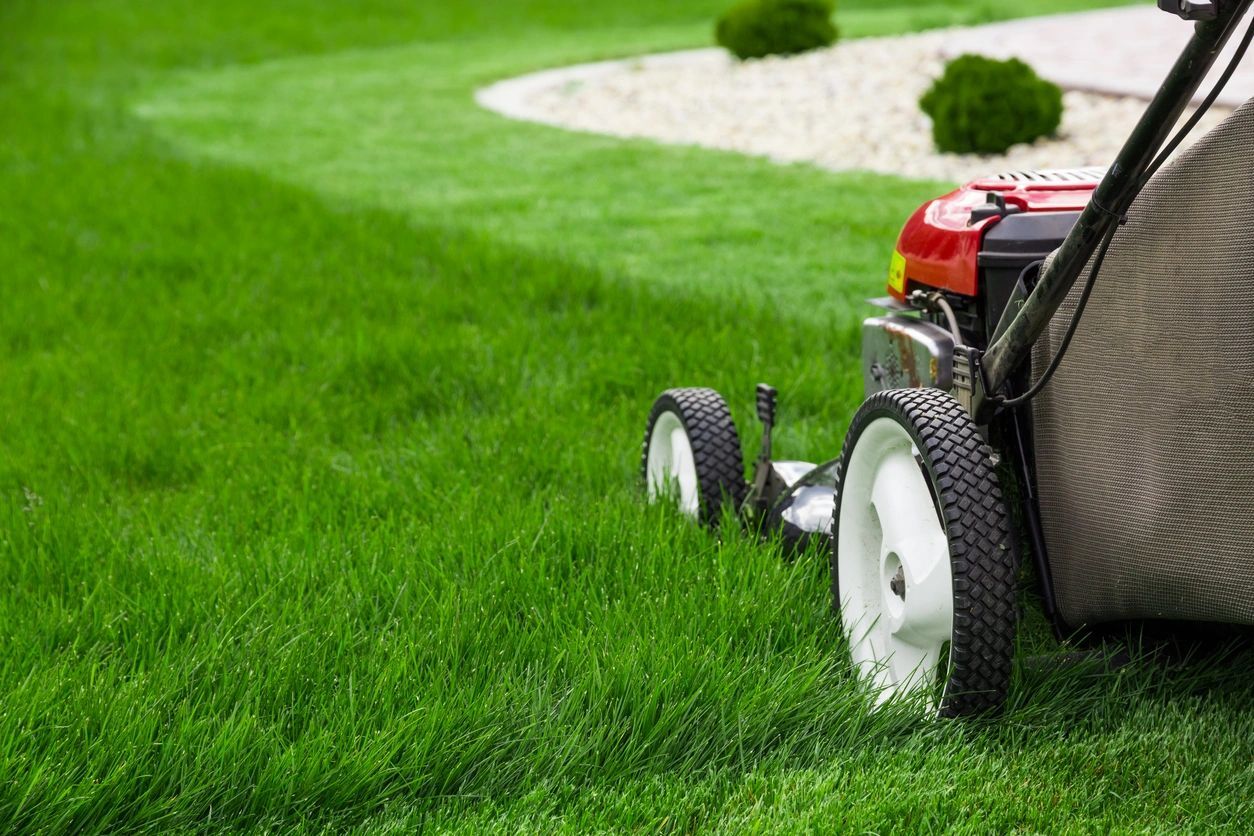 A lawn mower is sitting in the grass.